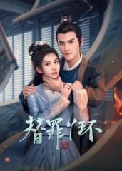 替罪丫环海报
